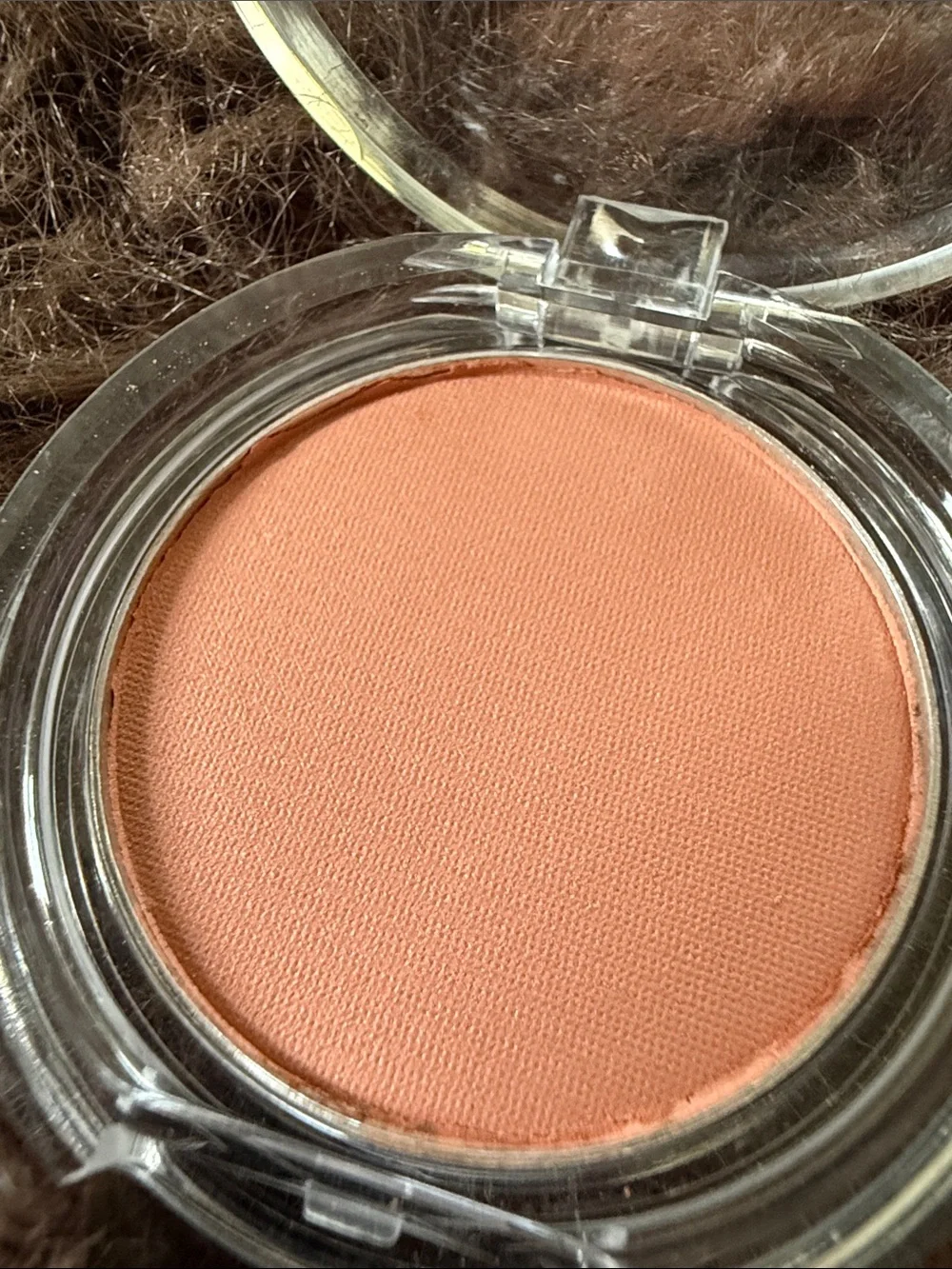 Powder Blush in Bloom (Peach)